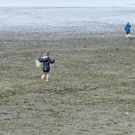 Deck Boat דירה *